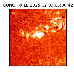 gong - 2025-02-03T03:00:42
