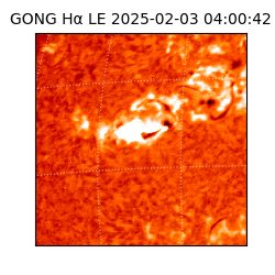 gong - 2025-02-03T04:00:42