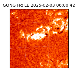 gong - 2025-02-03T06:00:42