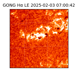 gong - 2025-02-03T07:00:42