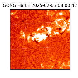 gong - 2025-02-03T08:00:42