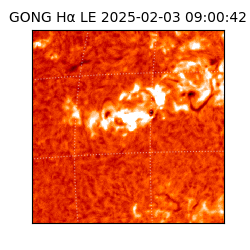 gong - 2025-02-03T09:00:42