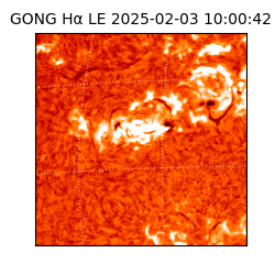 gong - 2025-02-03T10:00:42