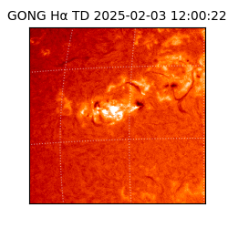 gong - 2025-02-03T12:00:22