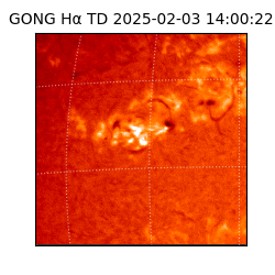 gong - 2025-02-03T14:00:22