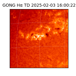 gong - 2025-02-03T16:00:22