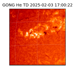 gong - 2025-02-03T17:00:22