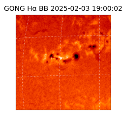 gong - 2025-02-03T19:00:02