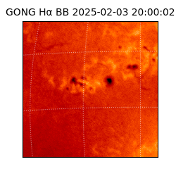 gong - 2025-02-03T20:00:02