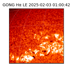 gong - 2025-02-03T01:00:42