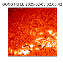 gong - 2025-02-03T02:00:42