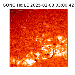 gong - 2025-02-03T03:00:42