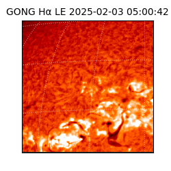 gong - 2025-02-03T05:00:42