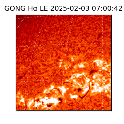 gong - 2025-02-03T07:00:42