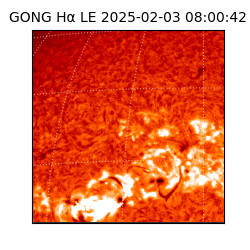 gong - 2025-02-03T08:00:42