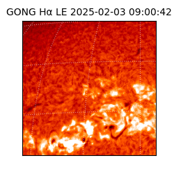 gong - 2025-02-03T09:00:42