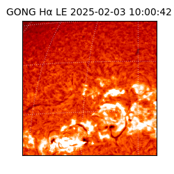 gong - 2025-02-03T10:00:42