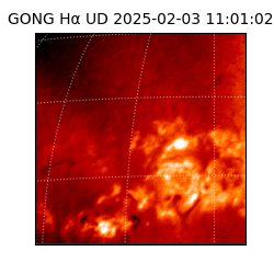 gong - 2025-02-03T11:01:02