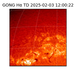 gong - 2025-02-03T12:00:22