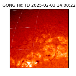 gong - 2025-02-03T14:00:22