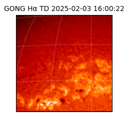 gong - 2025-02-03T16:00:22