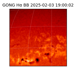 gong - 2025-02-03T19:00:02