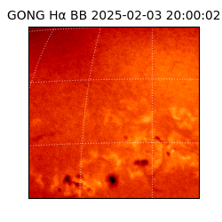 gong - 2025-02-03T20:00:02