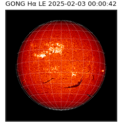 gong - 2025-02-03T00:00:42