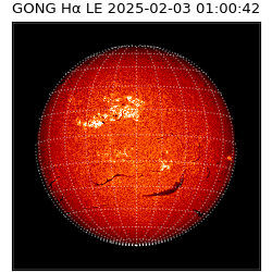 gong - 2025-02-03T01:00:42