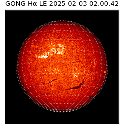 gong - 2025-02-03T02:00:42