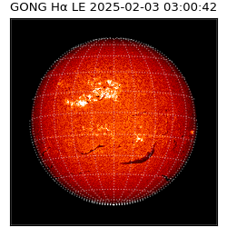 gong - 2025-02-03T03:00:42