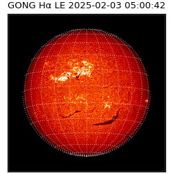gong - 2025-02-03T05:00:42