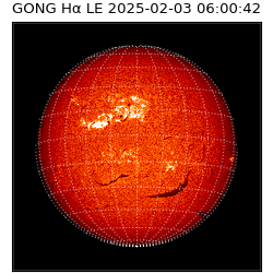 gong - 2025-02-03T06:00:42
