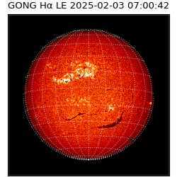 gong - 2025-02-03T07:00:42