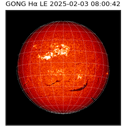 gong - 2025-02-03T08:00:42
