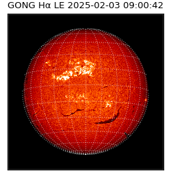 gong - 2025-02-03T09:00:42
