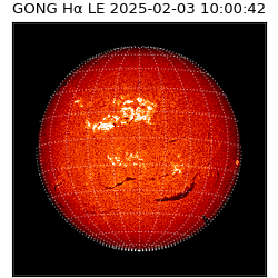 gong - 2025-02-03T10:00:42