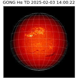 gong - 2025-02-03T14:00:22