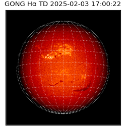 gong - 2025-02-03T17:00:22