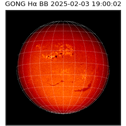 gong - 2025-02-03T19:00:02
