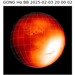 gong - 2025-02-03T20:00:02