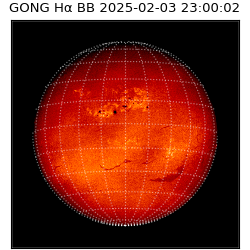 gong - 2025-02-03T23:00:02