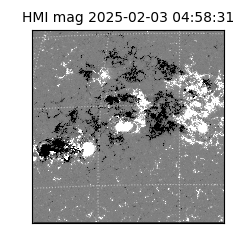 shmi - 2025-02-03T04:58:31