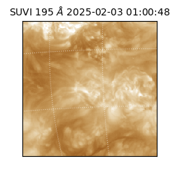 suvi - 2025-02-03T01:00:48