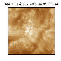 saia - 2025-02-04T09:00:04.843000