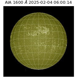 saia - 2025-02-04T06:00:14.125000