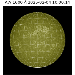 saia - 2025-02-04T10:00:14.123000