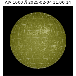 saia - 2025-02-04T11:00:14.126000