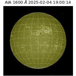 saia - 2025-02-04T19:00:14.129000