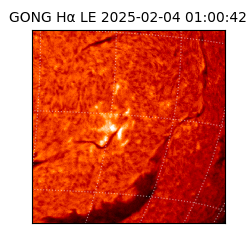 gong - 2025-02-04T01:00:42